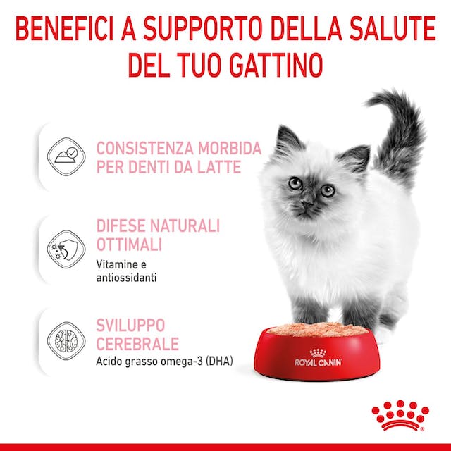 Royal Canin KITTEN - Morbido patè in salsa - 12x85gr Royal Canin KITTEN - Morbido patè in salsa - 12x85gr